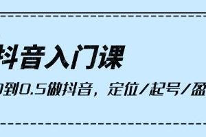抖音初学者指南:从零开始到0.5秒制作,掌握定位、起号和盈利策略