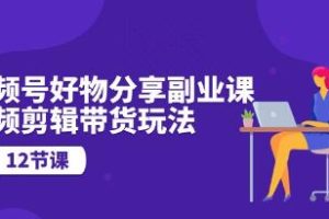 视频号好物分享副业课程：视频编辑与直播带货的艺术