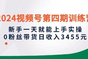 新手在《视频号第四期训练营》中一天就能掌握实操技巧的指南