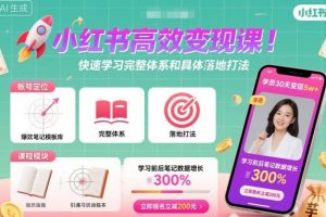 小红书高效变现课，快速学习小红书完整体系和具体落地打法