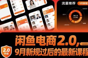 闲鱼电商2.0，懂运营出单更稳定，闲鱼店铺得运营技巧
