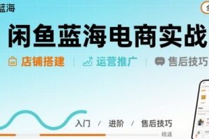 闲鱼蓝海电商实战，店铺搭建运营售后全流程