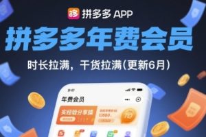 拼多多实战经验分享，盈利突围战