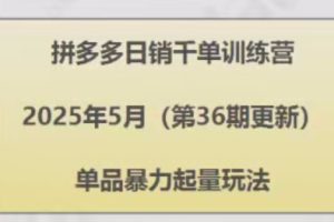 拼多多日销千单训练营，单品暴力起量玩法