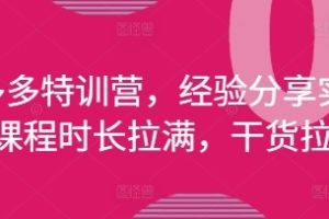 拼多多特训营，经验分享实操，干货拉满