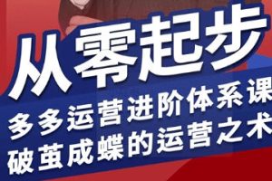 拼多多运营进阶系统课，从零起步，多多运营进阶体系课