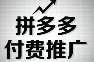 拼多多付费推广进阶玩法，与防坑指南