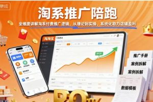 淘系推广陪跑，全维度讲解淘系付费推广逻辑，从理论到实操