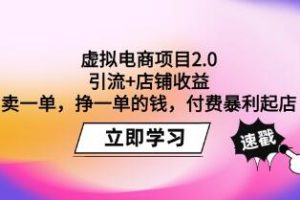 《虚拟电商项目2.0》引流+店铺收益，付费暴利起店【已实战赚到钱】