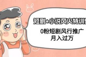 《短剧+小说风火特训营》0粉短剧风行推广，月入过万【已实战赚到钱】