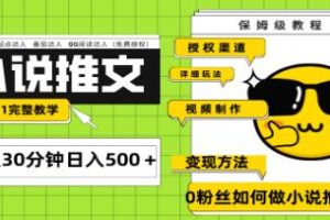 《Ai小说推文项目》引流变现 从0到1完整教学【已实战赚到钱】