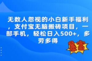 无数人忽视的《支付宝无脑搬砖项目》一部手机即可操作【已实战赚到钱】