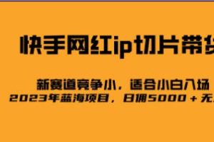 《快手网红IP切片项目：实现每日5000+收入的蓝海市场》