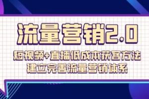 流量营销2.0:利用短视频和直播实现低成本获客,构建高效的流量营销体系