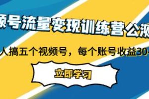 视频号流量变现实战训练营首次公测：每个账户可获得30-50的收益