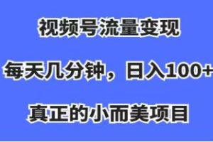 通过视频号实现流量盈利：一个小而美的项目，收益颇丰