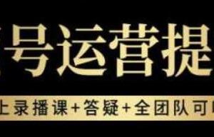 视频号运营优化课程：如何创建视频号、精选商品策略与直播带货技巧