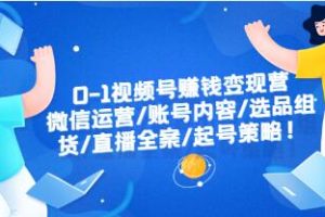 0-1视频号盈利增长计划：微信公众号运营、内容策略、产品选品、直播策划、账号创建全流程指南