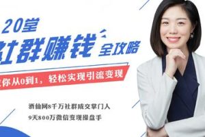 麦子《20堂社群运营赚钱攻略》：即学即用的全体系社群掘金大课