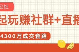 社群公社《一起玩赚社群+直播》实现4300万营收的交易策略分析