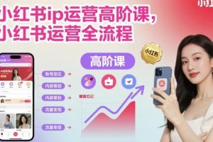 小红书ip运营高阶课，小红书运营全流程