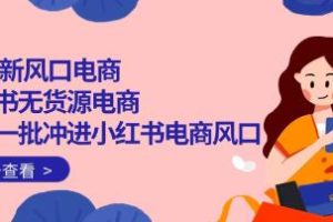 小红书电商：第一批无货源模式的成功案例