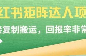 利用《小红书》的矩阵达人项目，实现高回报率的投资策略