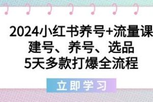 《小红书养号与流量课程：5天全面指导，打造多款爆款账号的全流程》
