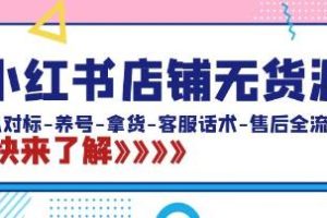 《从零开始：在小红书中建立店铺的全面指南，包括对标、养号、采购、客服对话和售后服务》