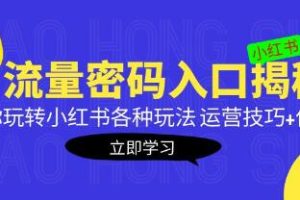 《揭秘小红书流量密钥：掌握运营技巧与优化策略，轻松驾驭小红书各种玩法》