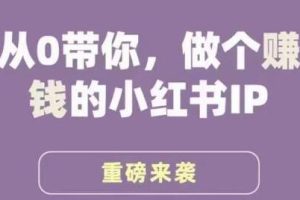 谢无敌的《小红书运营实战课程》：从零基础到成为一个盈利的小红书内容创作者