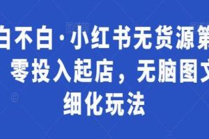 零投入起店，无脑图文精细化玩法：绅白不白《小红书无货源第5期》揭秘