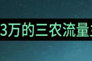 利用CHATGPT在《三农创业流量主项目》中实现月入1万