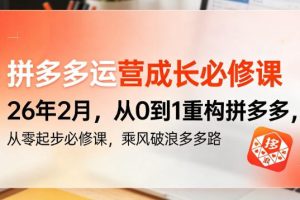 拼多多运营成长必修课 从0到1重构拼多多，从零起步必修课