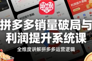 拼多多销量破局与利润提升系统课，全维度讲解拼多多运营逻辑