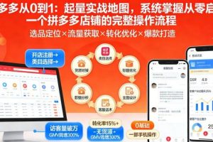 拼多多从0到1 系统掌握从零启动一个拼多多店铺的完整操作流程