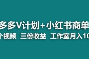 蓝海项目《多多v计划+小红书商单》【已实战赚到钱】