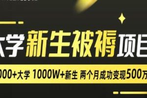 《2024大学新生被褥蓝海项目》两个月80万，【已实战赚到钱】