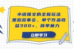 《全新玩法小说推文项目》【已实战赚到钱】