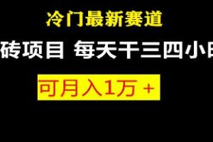 《最新冷门游戏搬砖赛道项目》