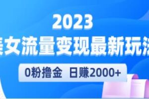 《美女短视频流量变现最新玩法》0粉撸金实测日引流300+