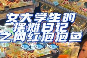抖音火爆《泡泡鱼手工地摊创业项目》女学生日赚500+项目课程解析