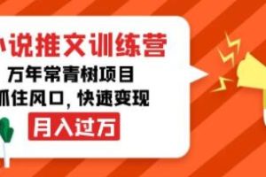 《小说推文网创项目》万年常青风口变现月入过万