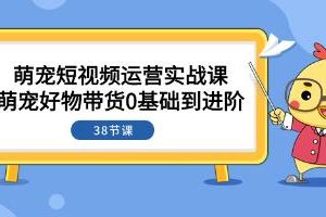 实战课程：从零基础到进阶的萌宠短视频运营与好物推荐