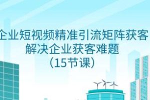 通过短视频精准引流矩阵实现企业客户获取的解决方案