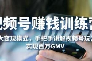 《视频创作者收益增长指南：6大变现策略，深入剖析平台功能，实现千万级GMV》