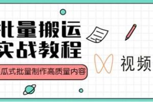 视频号内容创作与变现指南：傻瓜式批量制作高质量内容实战教程