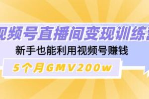 新手也能通过《视频号直播变现教程》在5个月内实现200万的GMV收入