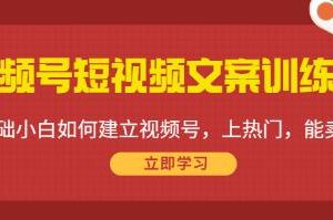 掌握视频号短视频创作的秘诀：0基础小白如何打造热门、实现销售的视频号训练营