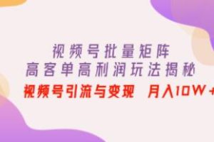 《揭秘视频号矩阵：高客单价与高利润的引流与变现策略，月入10W+不是梦！》